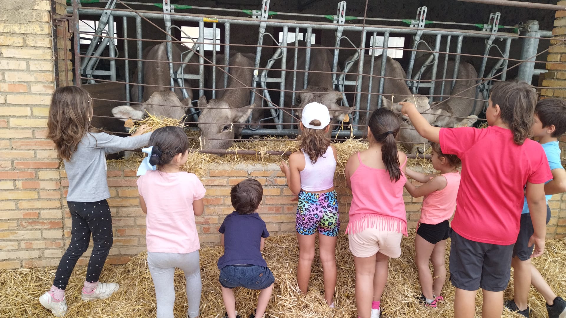 aprender de la naturaleza granja escuela