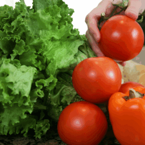 Manipulador de alimentos