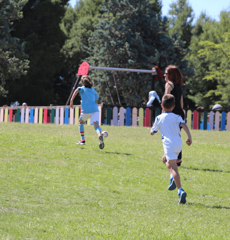 escolares camping11