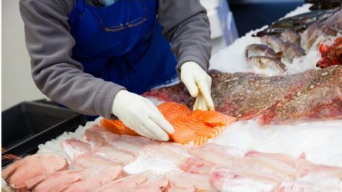 PESCADERIA Y ELABORACION DE PRODUCTOS DE LA PESCA Y ACUICULTURA rjkf8tqtvlj1o4kt8fyk5kozz0qdfrmh1gi6w60els