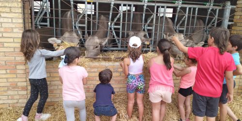 aprender de la naturaleza - granja escuela