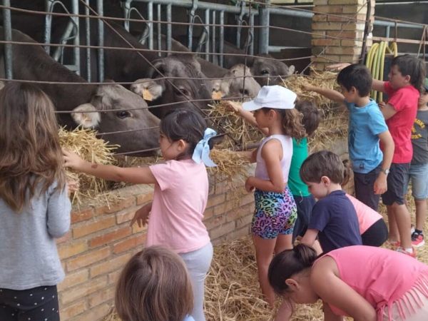 granja escuela de huesca